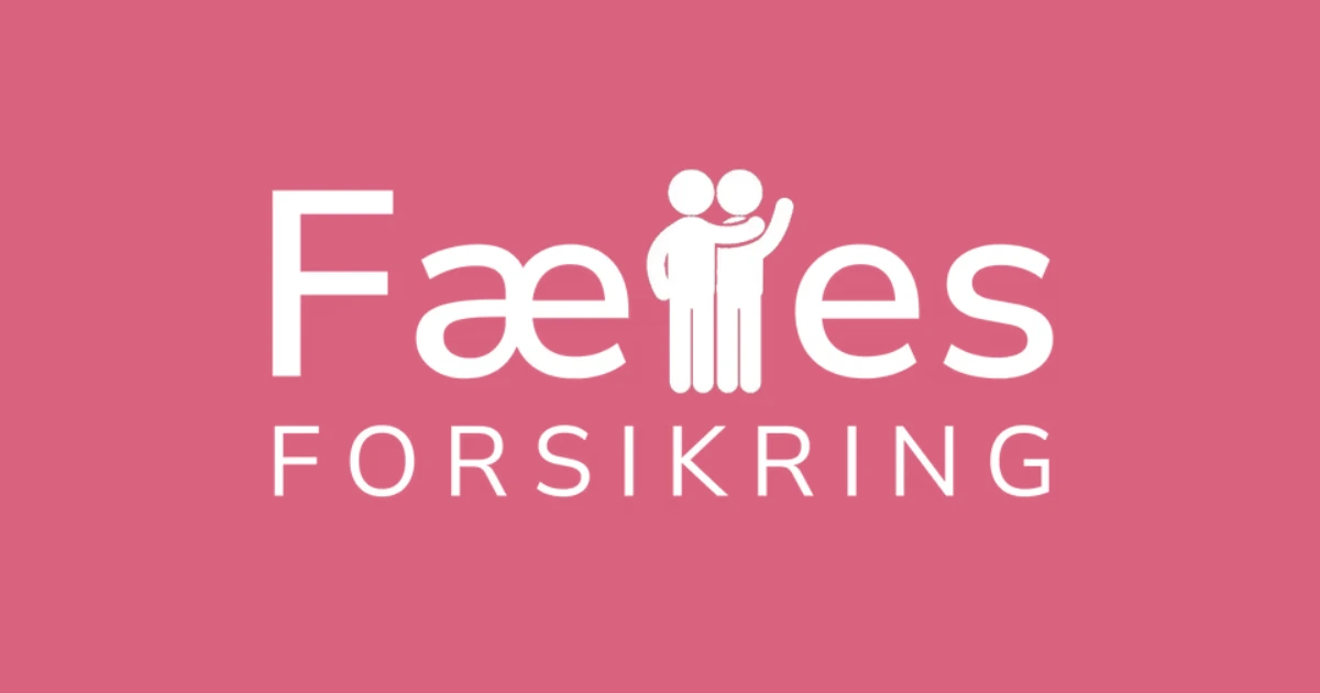 Ansvarsforsikring: hvilken skal du have?